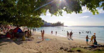 Où trouver les plus belles plages de l’île Maurice ?