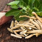 Ashwagandha : une plante ayurvédique puissante et adaptogène