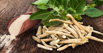 Ashwagandha : une plante ayurvédique puissante et adaptogène